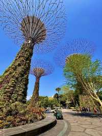 เที่ยวสิงคโปร์🇸🇬