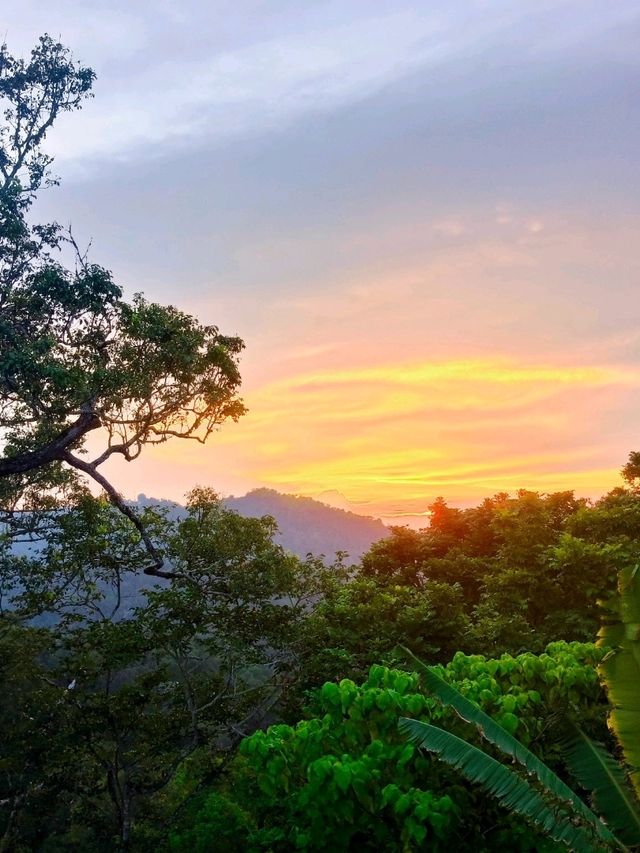 Find Your Perfect View: A Serene & Scenic Getaway at Penang Hill"