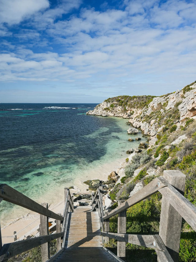 🌟【ロットネスト島（Rottnest Island）】ワールド最高の笑顔と大自然が待つ島 