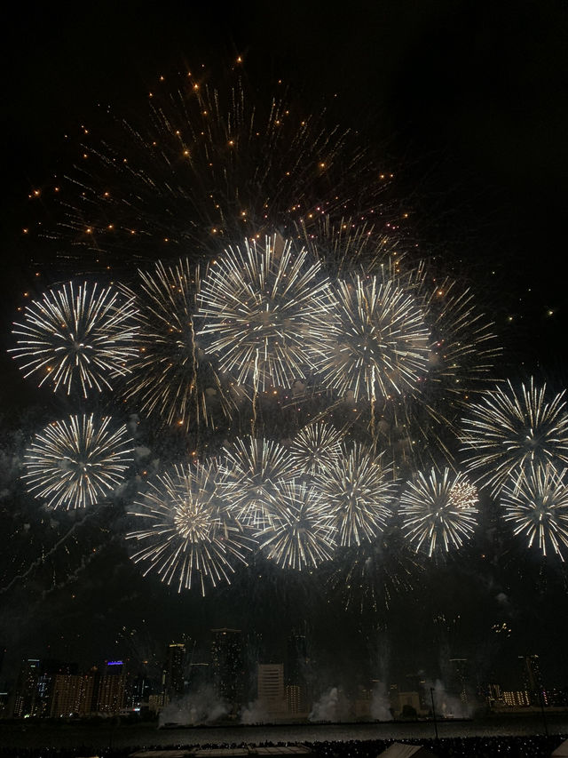 【大阪🇯🇵】淀川花火大会🎆