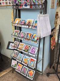 Accidentally Became an Art Collector at Pasar Seni