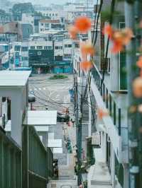 Korea Lifestyle