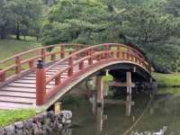 奈良 | 名勝舊大乘院庭園，放空的好去處