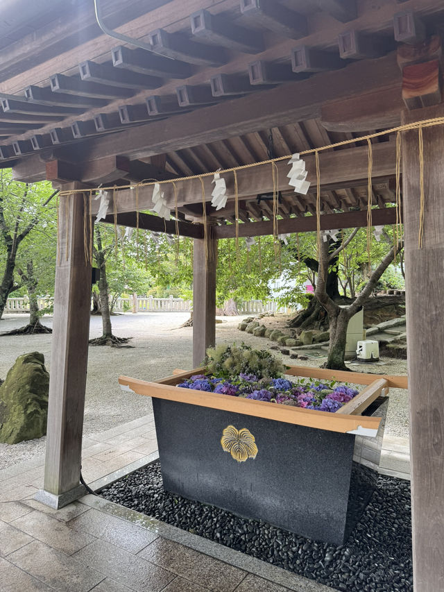 【北九州観光】月に2回入れ替わる花手水に癒される❁⃘
