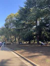 🇯🇵 Yoyogi Park 