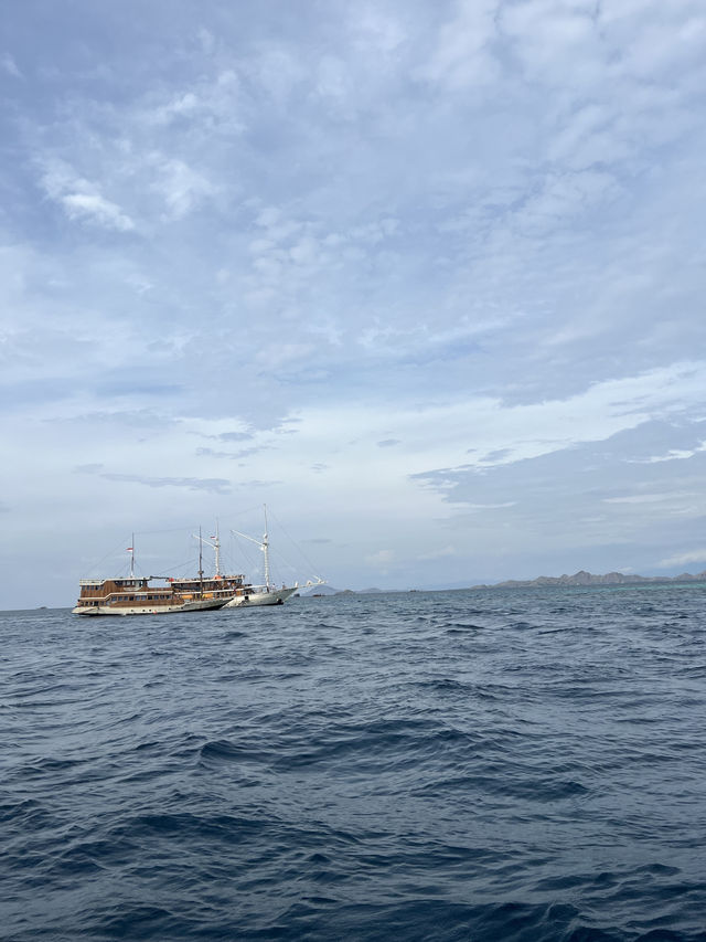 Labuan Bajo Day Trip: Islands, Dragons, and Beaches