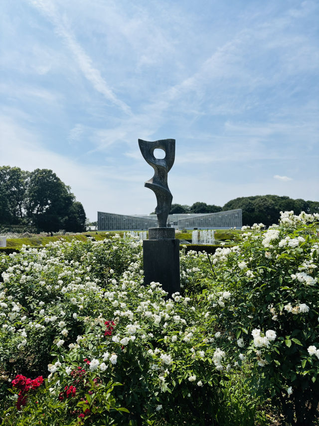 神代植物公園🇯🇵で花と植物に癒される💐⟡.·🪴