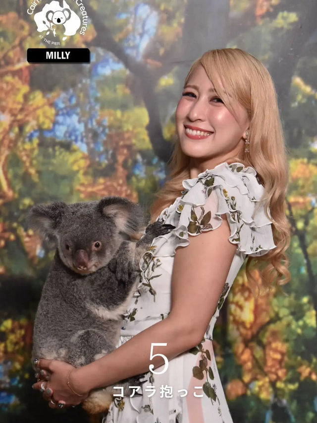 【保存版🇦🇺】ケアンズおすすめスポットBEST5🌿
