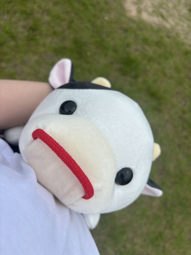 鳥取県‼︎夏のおすすめプラン✨☀️