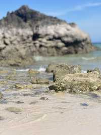 หาดเทียนเกาะล้านที่ไม่ควรพลาด น้องห่านน่ารัก