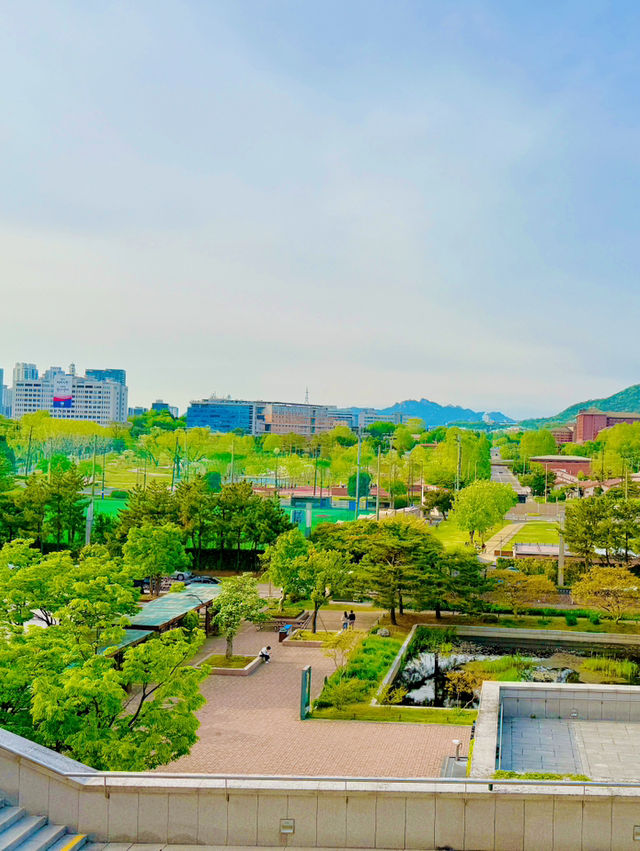 남산 뷰를 볼 수 있는 용산공원 반환부지