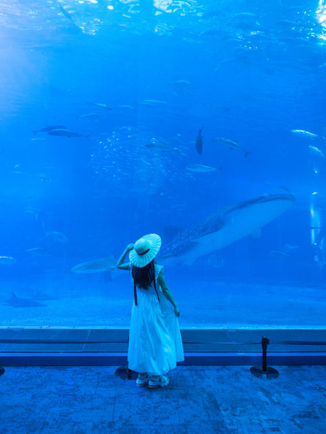 【沖縄】ずらし旅で唯一無二の写真を撮ろう！