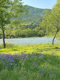 남양주/양평 당일치기로 가기 좋은 물의정원 🌳