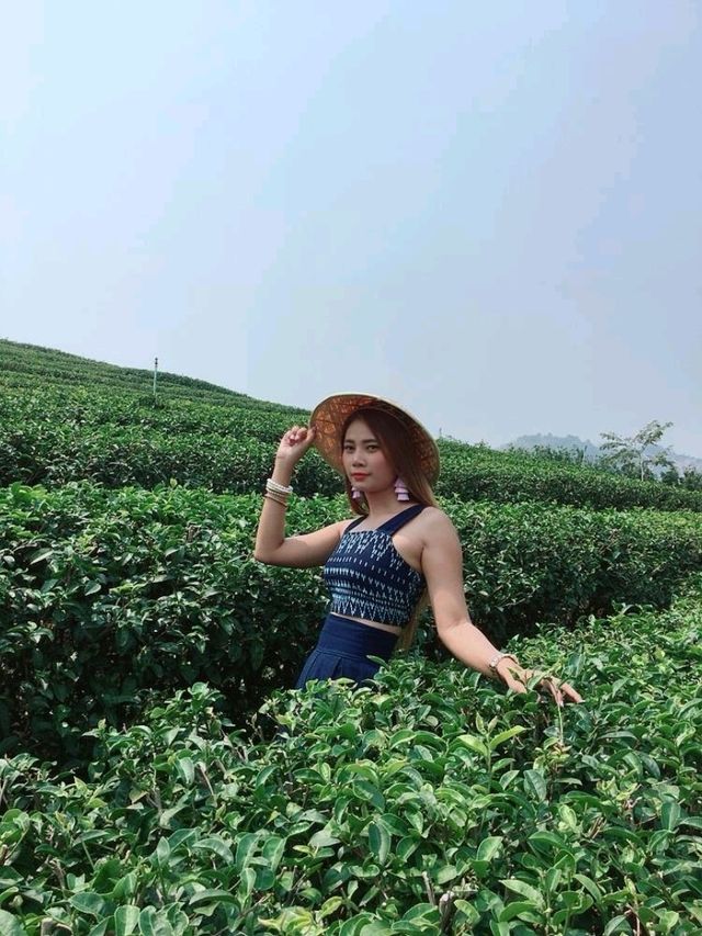 ดอยแม่สลอง จังหวัดเชียงราย