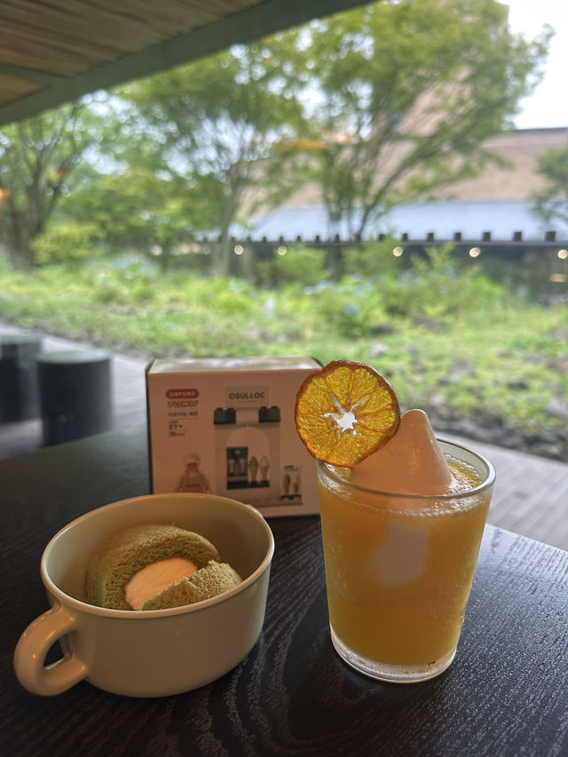 녹차의 향기에 취하다! 제주 오설록 티 뮤지엄 🌿♥️