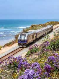 San Diego | Coastal Train to Summer 🚂🌊