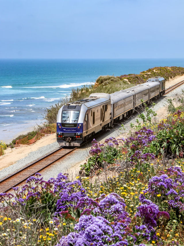 San Diego | Coastal Train to Summer 🚂🌊