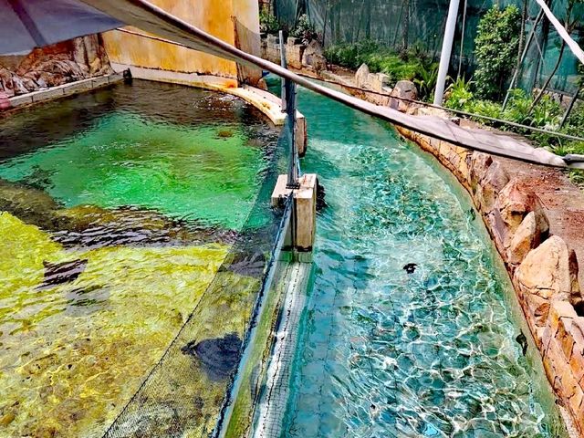 探險灣水上樂園