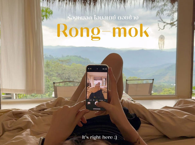 🌿 ร่องหมอก โฮมสเตย์ ดอยช้าง