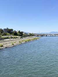 🌿 A Day by the Kamo River: Kyoto’s Calm in Motion 🏞️⛅