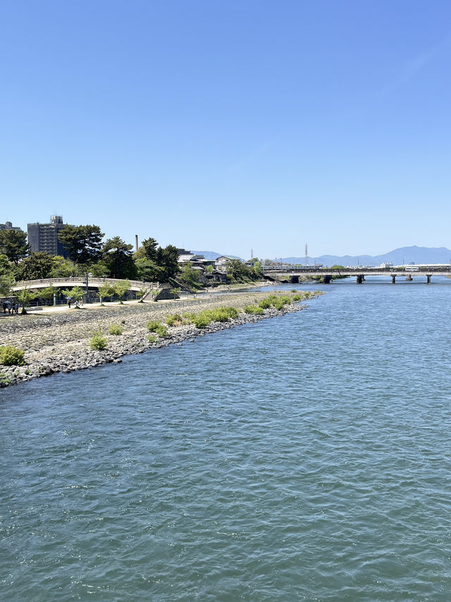 🌿 A Day by the Kamo River: Kyoto’s Calm in Motion 🏞️⛅