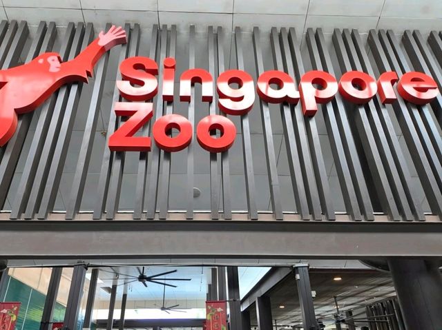 Mesmerizing Singapore Zoo! 