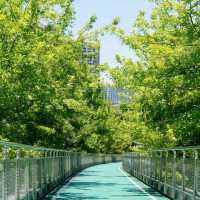 白鷺洲公園•綠意天地