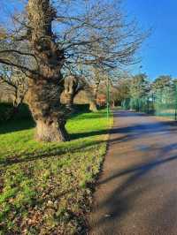 War Memorial Park