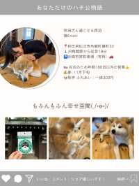 【秋田県🇯🇵】あなただけのハチ公物語がコンセプト