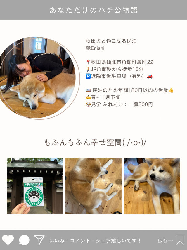 【秋田県🇯🇵】あなただけのハチ公物語がコンセプト