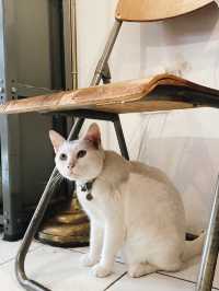 A book with no name Cafe ย่านศรีย่าน