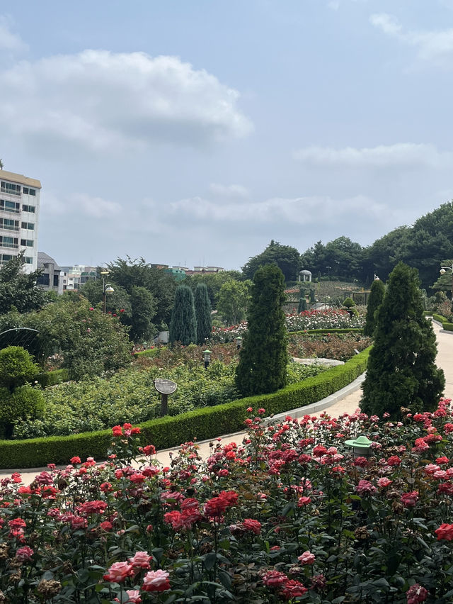 부천 여름 야외 데이트는 바로 여기🌸