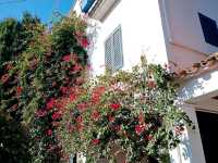 Palafrugell a small gem near Barcelona 