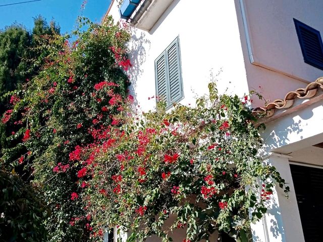 Palafrugell a small gem near Barcelona 