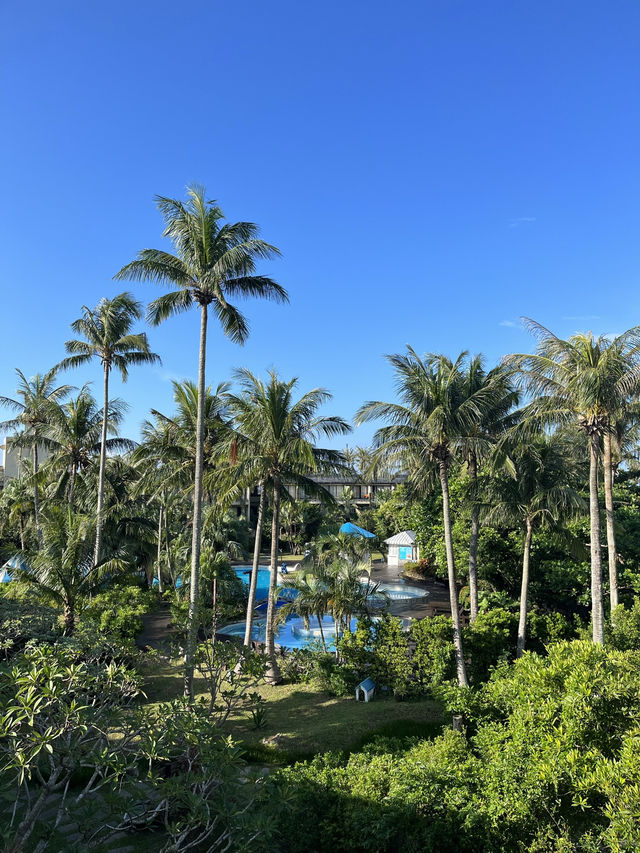 바다 앞 럭셔리 힐링🌴 컨딩 시저파크호텔 숙박 후기