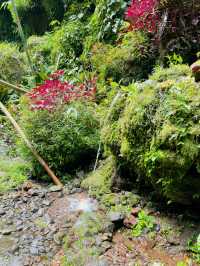 Banyu Wana Amertha Waterfall view 1