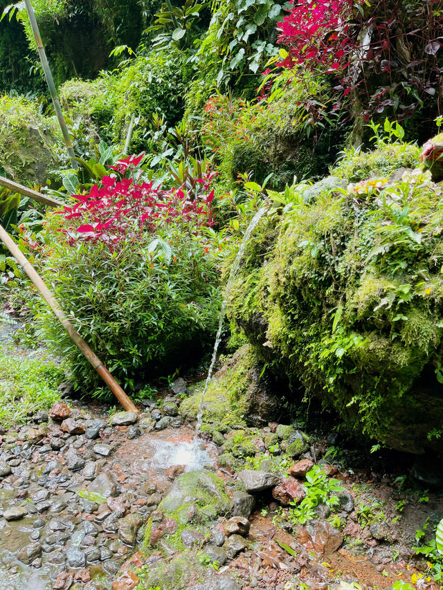 Banyu Wana Amertha Waterfall view 1