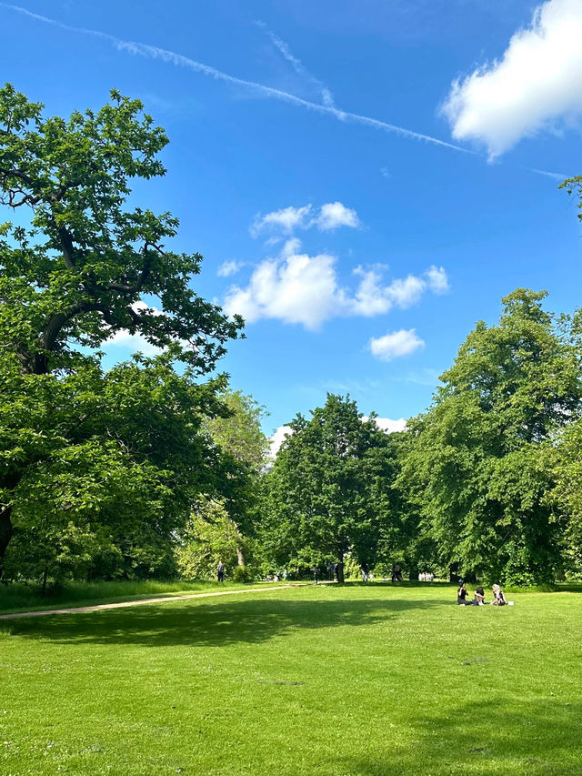 🌳☀️ Hyde Park