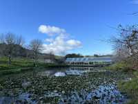 🖼️ Brick Bay Wines & Sculpture Trail — 藝術與自然的完美交融