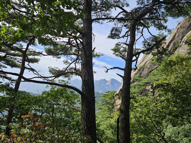 도봉산에 오르다