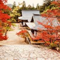 Conquer Mount Takao: Tokyo’s Best Summer Escape for Solo Adventurers"** 🌿⛰️