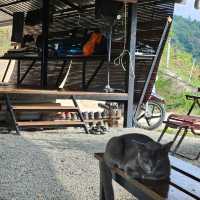 Off the beaten track in KL - art, hiking, make your own pewter dish