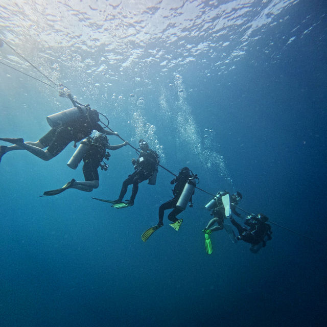 ดำน้ำลึกกับ Satun Dive Resort Koh Lipe