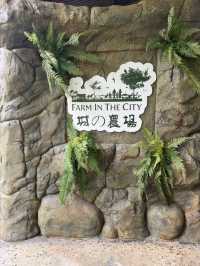 Farm In The City