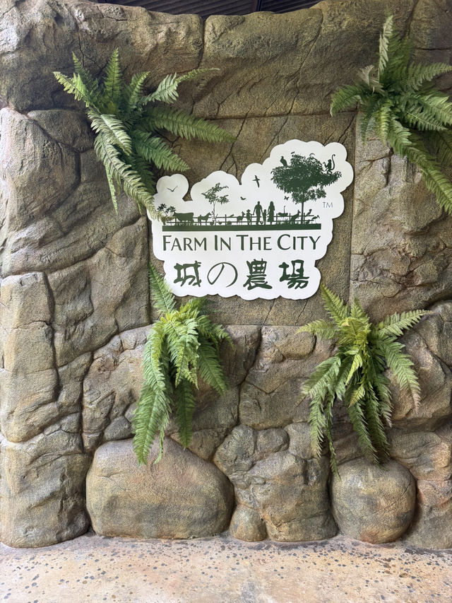Farm In The City
