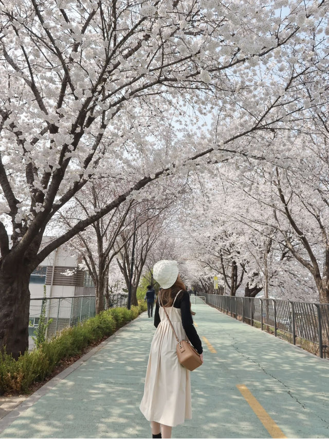 แจกพิกัด Hidden ย่าน seongsu ชมดอกพ๊อตกต🌸 