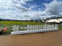 🌻✨ Xizhou Fields: A Day of Unexpected Beauty and Breezy Rides