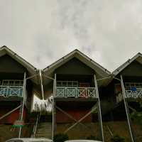 Tropical Hideaway and Homely Grace