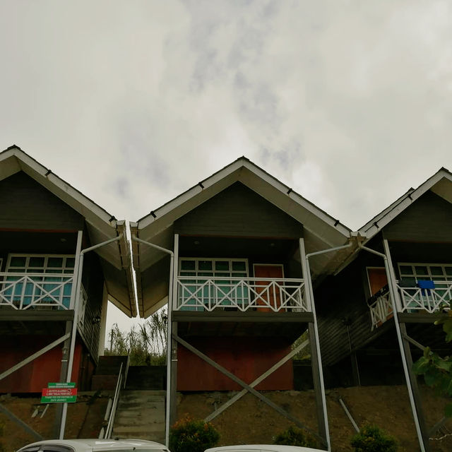 Tropical Hideaway and Homely Grace