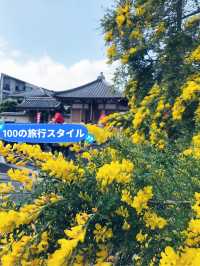【東京都　北区　芥川龍之介ゆかりの地・田端の坂道と寺社の数々。赤紙仁王尊】